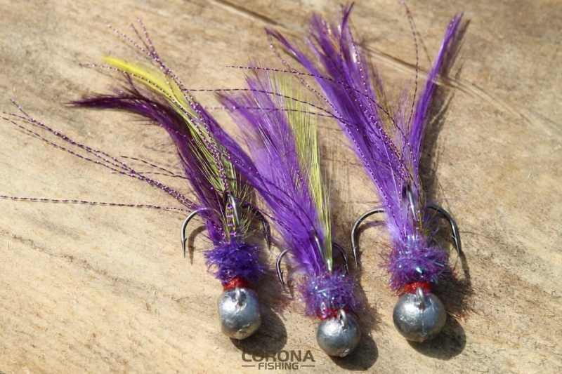 najlepsze koguty na okonie